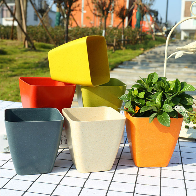 biodegradable plant pots