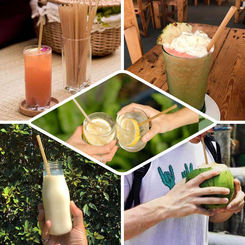 Biodegradable Sugarcane Straws