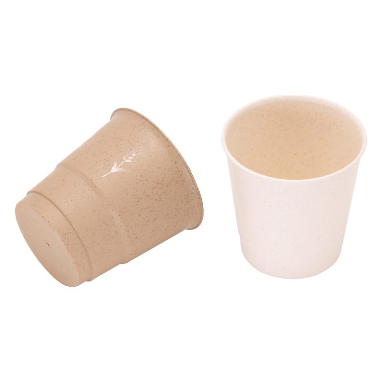 Bodegradable Cups