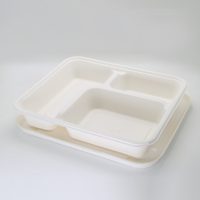 biodegradable tableware