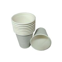 Biodegradable Cups