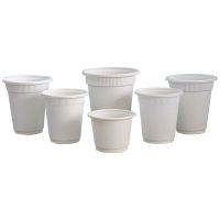 Biodegradable Cups