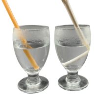 Biodegradable-Straws