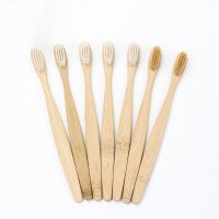 biodegradable-bamboo-toothbrush